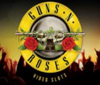 Guns and roses small